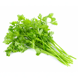 CORIANDER 100G