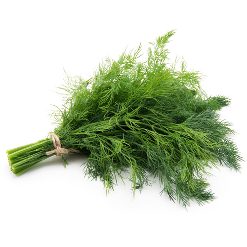 DILL