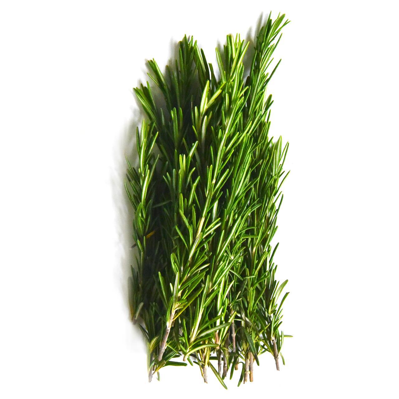 FRUIT EXPRESS ROSEMARY BUNCH