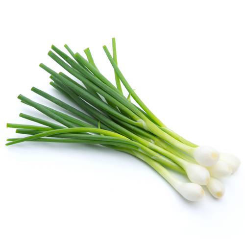 FRUIT EXPRESS SPRING ONIONS BUNCH