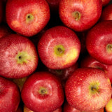 FRUIT EXPRESS RED APPLE UNIT